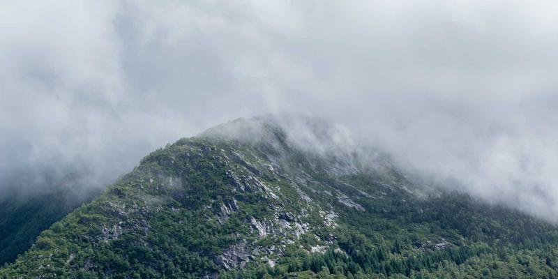 TTZ PRC专业指南：会展后客户关系维护与长期价值挖掘策略