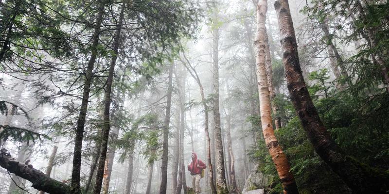 TTZ PRC实战指南：如何通过精准活动策划与执行打造高吸引力会展