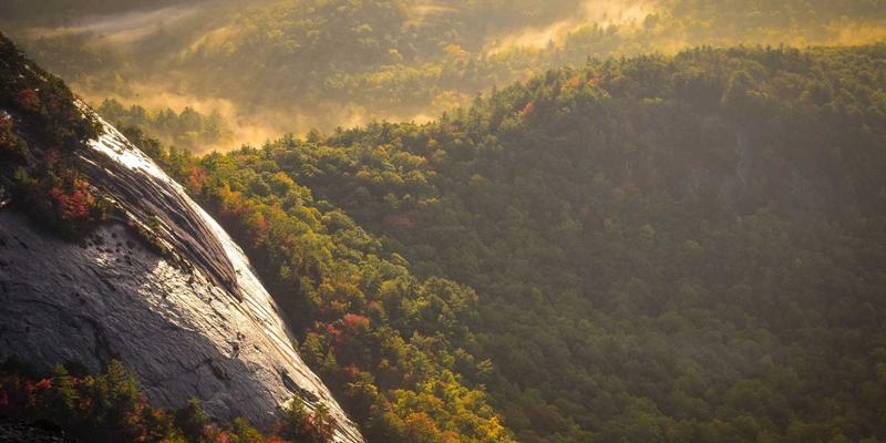 TTZ PRC引领未来：环保材料与可持续搭建方案如何重塑展览设计与会议策划