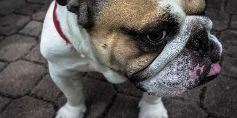 TTZ PRC视角下的会展服务最佳实践:以卓越展览设计驱动品牌价值