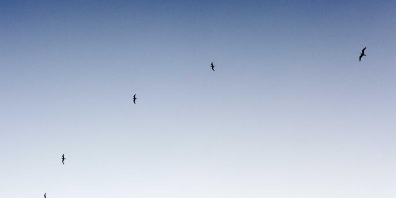 专业会展服务三大核心优势：从活动策划到展览设计的全链路价值解析