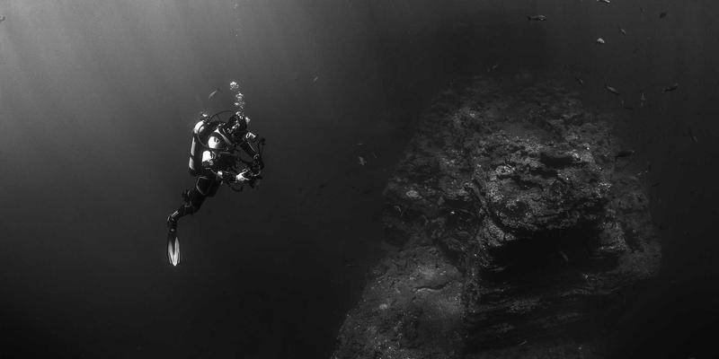 会展人力资源弹性调配：TTZ PRC如何高效组建临时团队应对项目制高峰