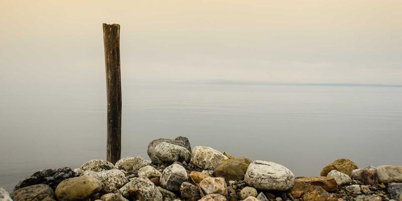 会展数据分析实战指南：如何利用观众行为与展商数据提升下届展会ROI