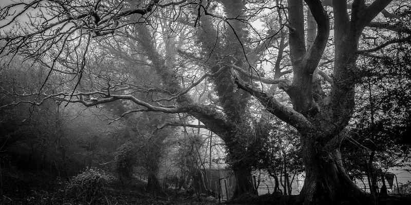 会展数据采集与分析实战指南：TTZ PRC视角下的活动执行效果量化与ROI提升