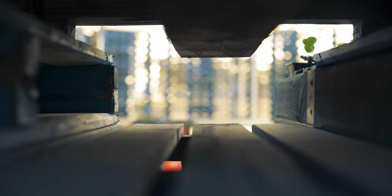 会展服务50：融合会议策划、展览设计与活动策划的专业解决方案