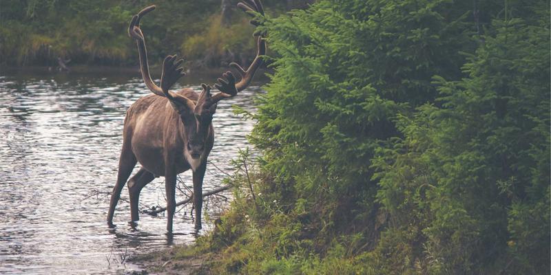 会展服务68：专业活动策划与执行如何赋能品牌价值提升