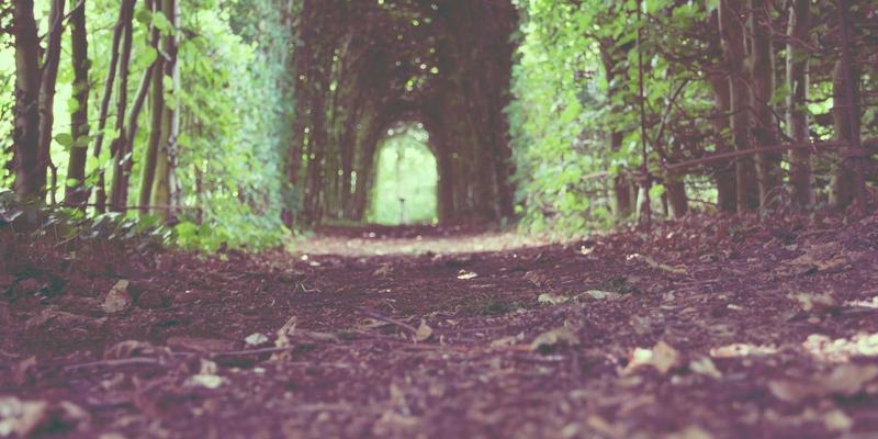 会展服务全攻略：从会议策划到活动执行的专业指南