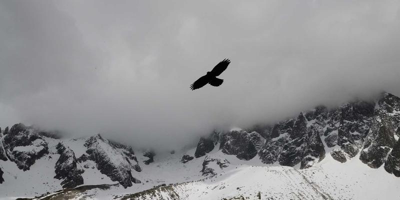 会展服务前景展望:活动策划、展览设计与活动执行的融合创新