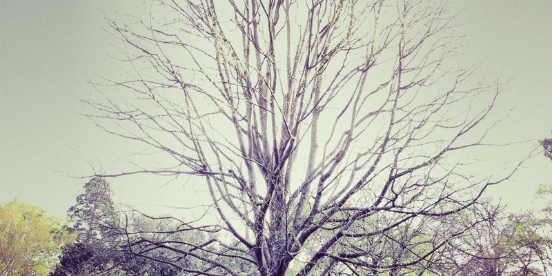 会展服务高效协同之道：主办方与场馆方在合同谈判、活动策划与展览设计中的关键协作点