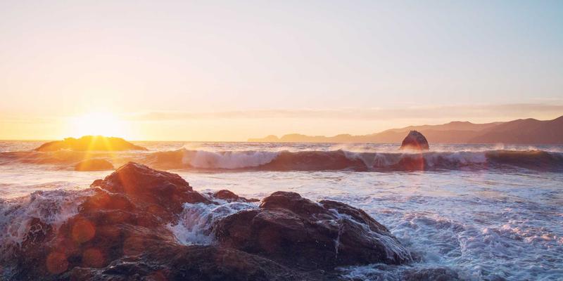 会展礼仪与现场接待服务：专业会议策划与展览设计的隐形竞争力