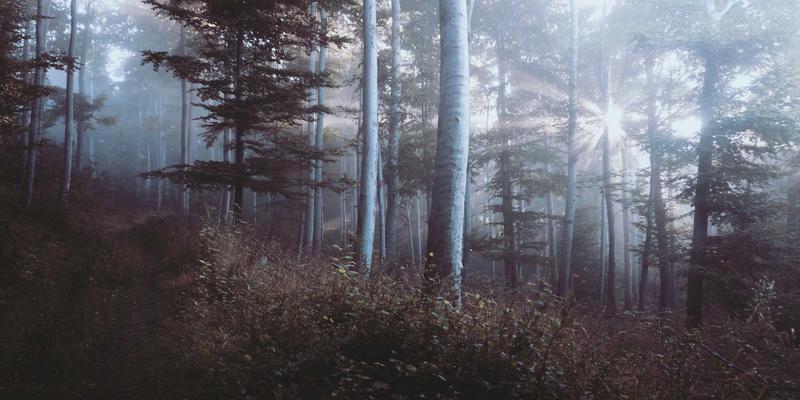 会展营销与媒体推广策略：TTZ PRC活动策划如何精准吸引高质量参展商与专业观众