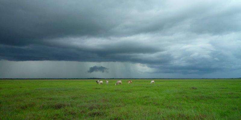 会展餐饮服务创新：如何通过高效活动执行与创意展览设计，统筹食品安全、效率与特色体验