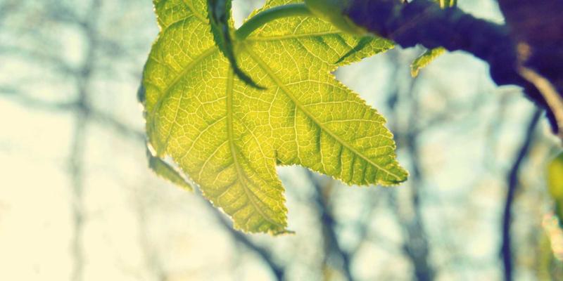 会议策划与活动策划新高度：TTZ PRC标准下的会展礼仪与专业接待人员培训管理