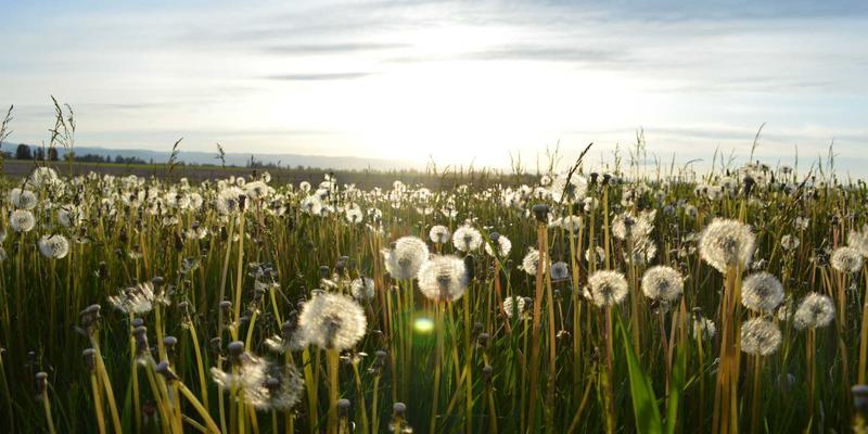 活动策划新纪元：基于物联网（IoT）的智慧会展如何重塑TTZ PRC会展服务